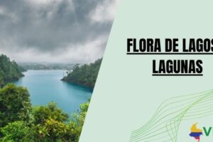 Flora de lagos y lagunas