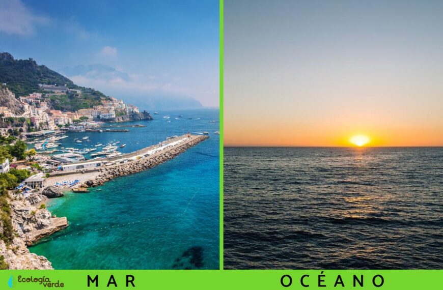 Diferencias entre mar y océano