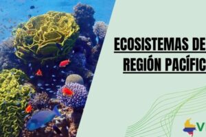 Ecosistemas de la región Pacífica