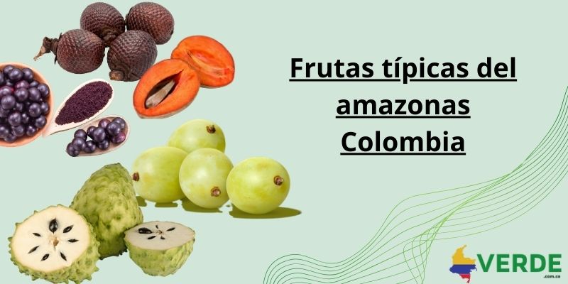 frutas tipicas del amazonas Colombia